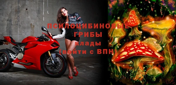 круглые Алзамай