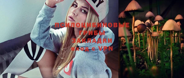 гашик Абаза