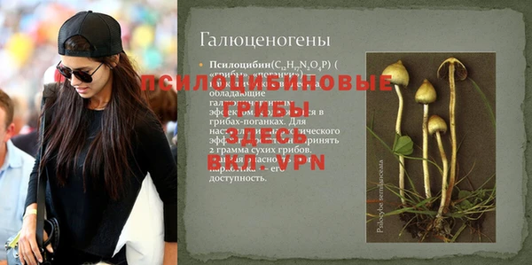 дмт Абдулино