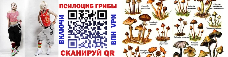 Псилоцибиновые грибы MAGIC MUSHROOMS  как найти   Шебекино 