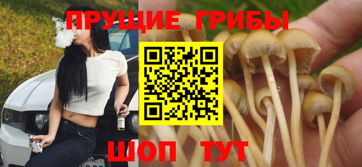 Псилоцибиновые грибы мухоморы  Псилоцибиновые грибы Cubensis  Вход с VPN  Шебекино 