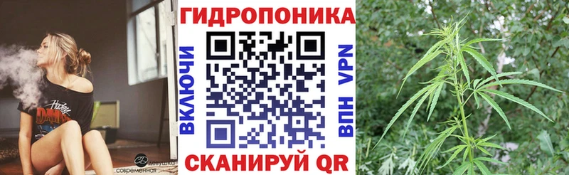 где можно купить наркотик  Шебекино  kraken сайт  сайты даркнета как зайти  Конопля THC 21% 